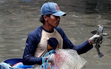 pakar-ipb-university-dominasi-ikan-sapu-sapu-di-ciliwung-gejala-sungai-sakit-akibat-pencemaran.jpg