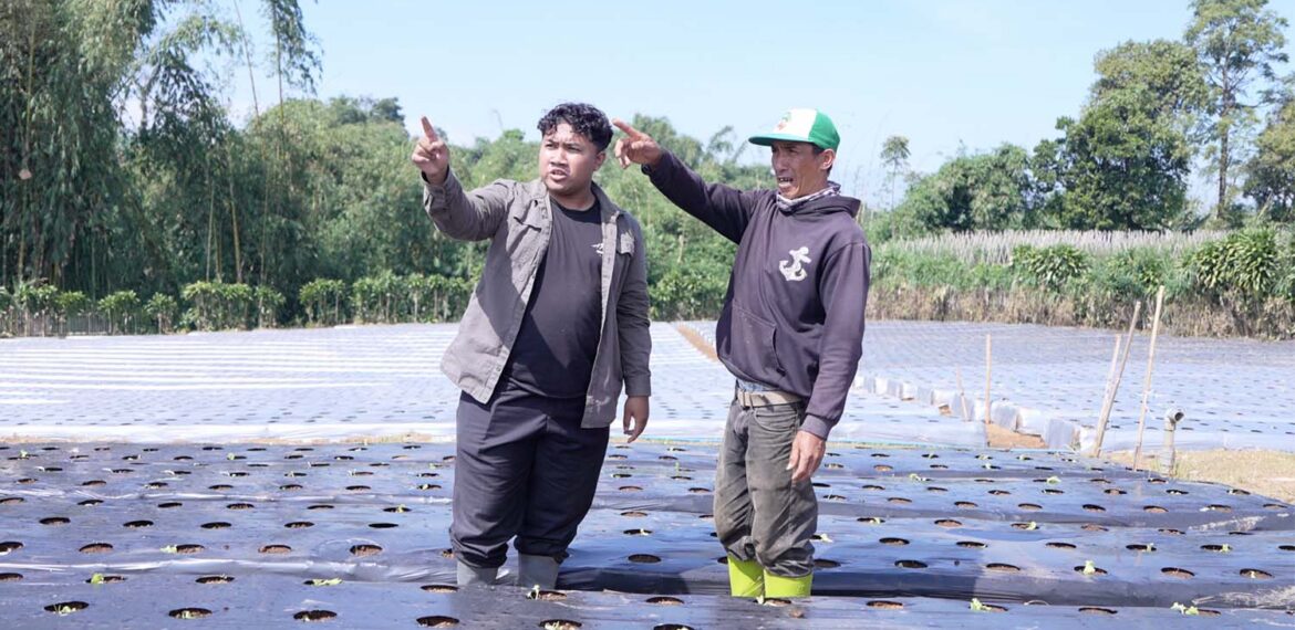 program-ovoc-ipb-university-tingkatkan-pendapatan-petani-tugu-mukti-hingga-dua-kali-lipat.jpg