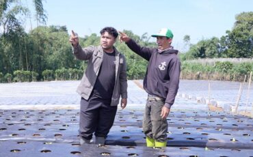 program-ovoc-ipb-university-tingkatkan-pendapatan-petani-tugu-mukti-hingga-dua-kali-lipat.jpg