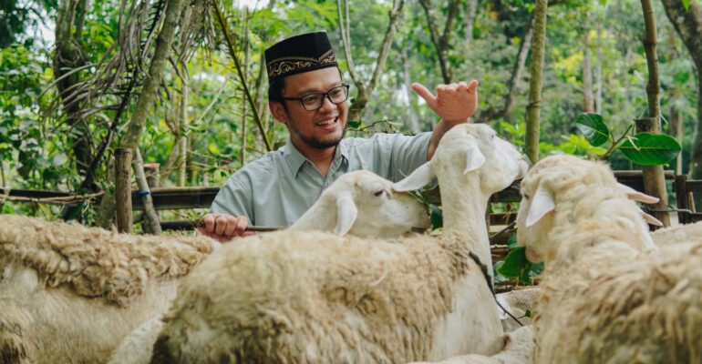 ahli-ipb-university-stres-pada-hewan-kurban-turunkan-kualitas-daging.jpg
