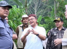 akselerasi-perdagangan-karbon-di-garut-desa-mitra-binaan-ipb-dikunjungi-kementerian-kehutanan-dan-undp.jpg