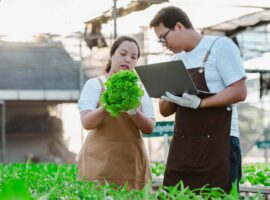 dukung-pertumbuhan-ekonomi-8-persen-prof-widyastutik-tekankan-peran-strategis-sektor-jasa.jpg