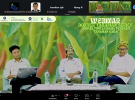gelar-dokter-tanaman-series-himasita-dan-lpa2i-ipb-university-kupas-tuntas-hama-dan-penyakit-tanaman-cabai.jpg