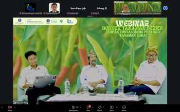 gelar-dokter-tanaman-series-himasita-dan-lpa2i-ipb-university-kupas-tuntas-hama-dan-penyakit-tanaman-cabai.jpg