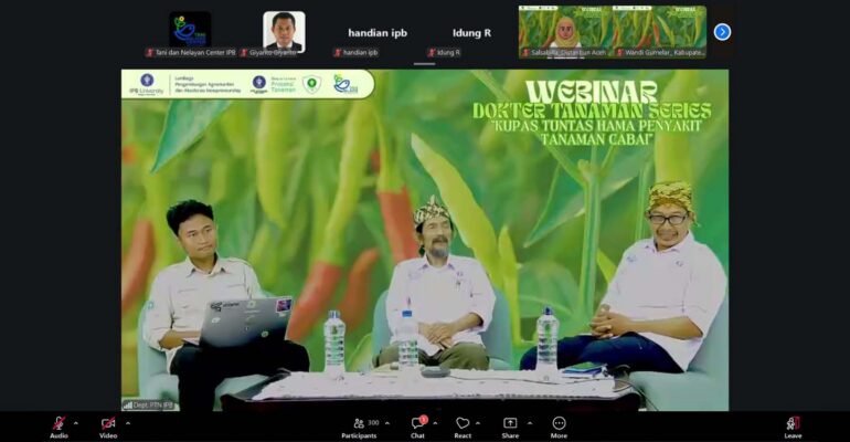 gelar-dokter-tanaman-series-himasita-dan-lpa2i-ipb-university-kupas-tuntas-hama-dan-penyakit-tanaman-cabai.jpg