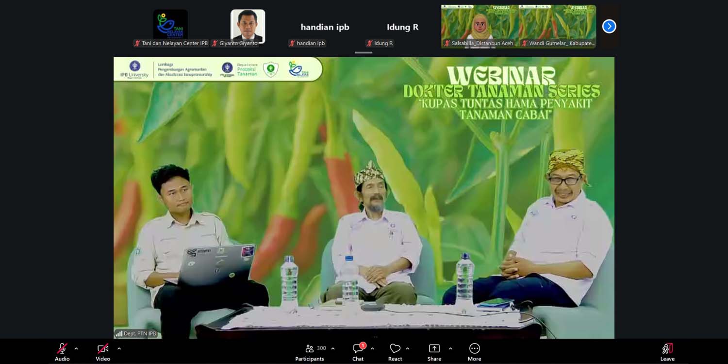 Gelar Dokter Tanaman Series, Himasita dan LPA2I IPB University Kupas Tuntas Hama dan Penyakit Tanaman Cabai