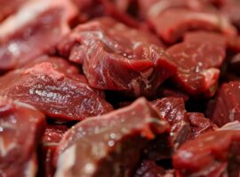 guru-besar-ipb-university-bagikan-cara-mengolah-daging-kerbau-agar-empuk-dan-tidak-bau.jpg