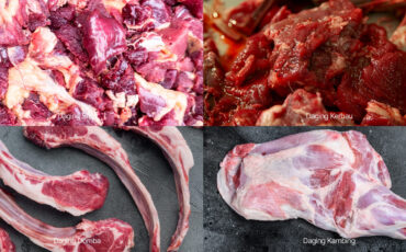 pakar-ipb-ungkap-fakta-di-balik-perbedaan-daging-kurban.jpg