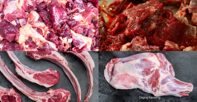 pakar-ipb-ungkap-fakta-di-balik-perbedaan-daging-kurban.jpg