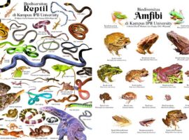 satu-dekade-kampus-biodiversitas-ipb-university-jadi-teladan-pelestarian-keanekaragaman-hayati.jpg