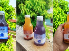 teajae-jamu-kekinian-ala-mahasiswa-ipb-university-solusi-sehat-tanpa-ribet.jpg