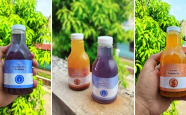 teajae-jamu-kekinian-ala-mahasiswa-ipb-university-solusi-sehat-tanpa-ribet.jpg