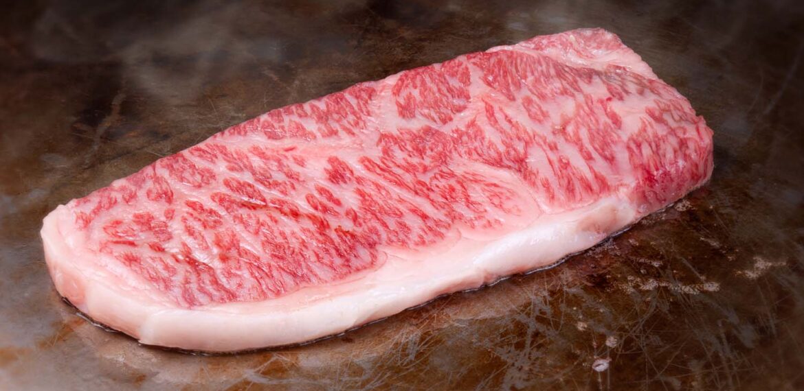 waspadai-daging-wagyu-kw-pakar-ipb-university-ungkap-cara-identifikasinya.jpg