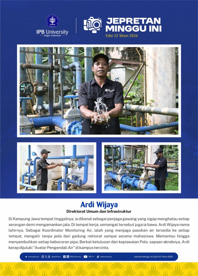 Ardi Wijaya