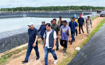 atasi-pencemaran-pesisir-bangka-tengah-peneliti-ipb-university-sulap-limbah-tambak-udang-jadi-pupuk-organik-kelapa-sawit.jpg(1)