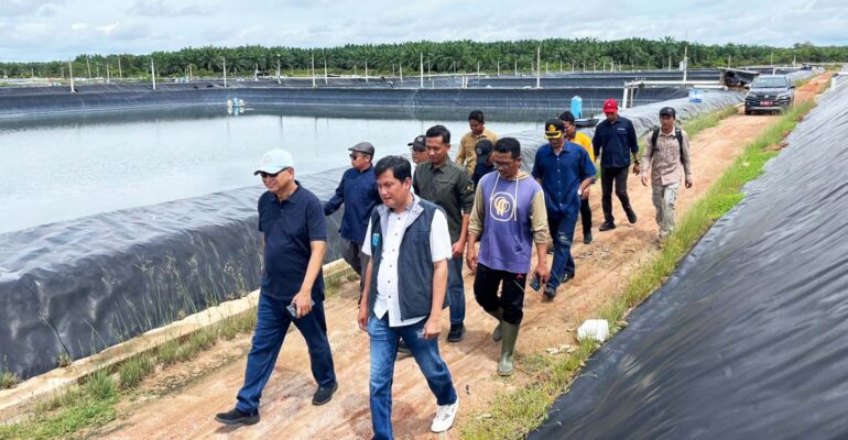 atasi-pencemaran-pesisir-bangka-tengah-peneliti-ipb-university-sulap-limbah-tambak-udang-jadi-pupuk-organik-kelapa-sawit.jpg(1)