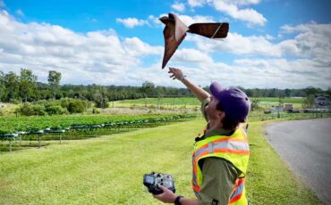 australia-sukses-gunakan-robird-pakar-ipb-university-berpotensi-jadi-masa-depan-pengendalian-hama-burung.jpg