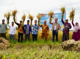 ci-best-ipb-university-kembangkan-ekosistem-beras-berbasis-pesantren-di-aceh.jpg