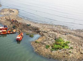 dosen-ipb-university-pulau-sampah-muara-angke-ancam-ekosistem-mangrove-dan-rantai-makanan-perairan.jpg