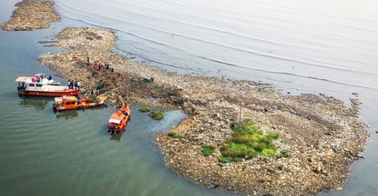 dosen-ipb-university-pulau-sampah-muara-angke-ancam-ekosistem-mangrove-dan-rantai-makanan-perairan.jpg