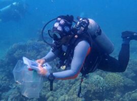 gunakan-teknologi-edna-fpik-ipb-ungkap-hidden-biodiversity-di-kawasan-restorasi-biorock-pemuteran-bali.jpg(1)