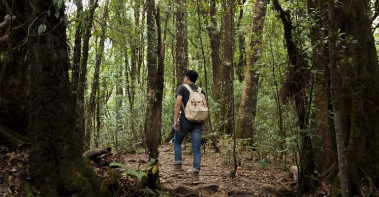 kenapa-healing-forest-bisa-redakan-stres-prof-siti-badriyah-rushayati-ungkap-senyawa-alami-ini.jpg