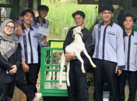 mahasiswa-sekolah-vokasi-ipb-university-kembangkan-smart-squeeze-cage-kandang-jepit-pintar-berbasis-iot.jpg
