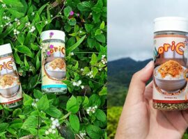 norico-bumbu-tabur-praktis-dari-ampas-kelapa-hasil-inovasi-mahasiswa-sekolah-vokasi-ipb-university.jpg