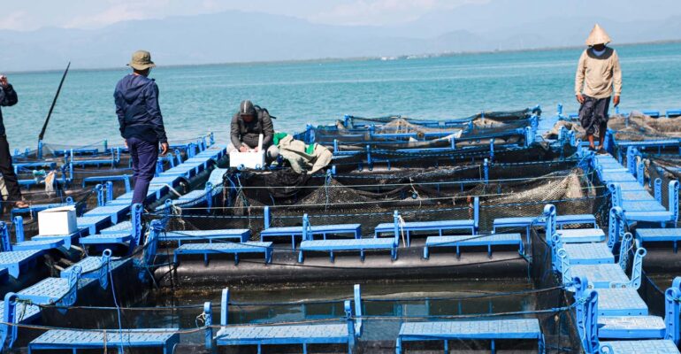 perubahan-iklim-ancam-produksi-ikan-prof-agus-oman-sudrajat-tawarkan-solusi-kontrol-hormonal-reproduksi.jpg