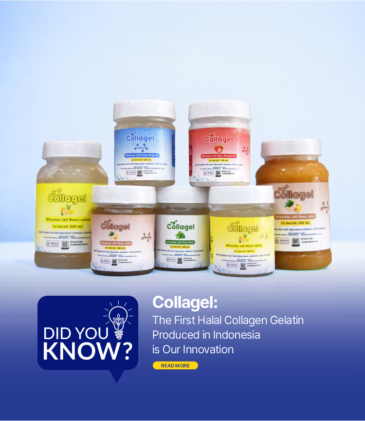 Collagel_eng
