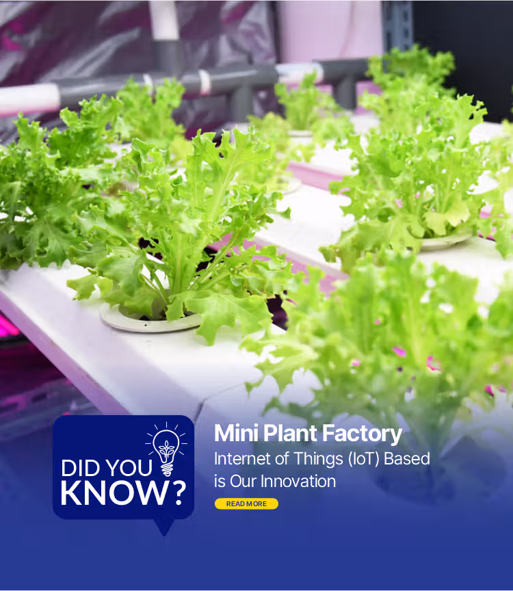 mini plant_eng