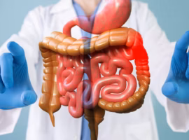 vitamin-dan-antioksidan-belum-tentu-dapat-diserap-tubuh-prof-endang-prangdimurti-teliti-pencernaan-in-vitro-1