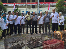 Pelepasan burung