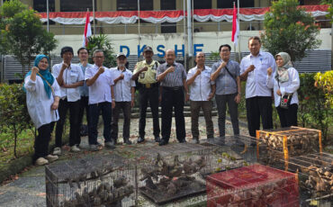 Pelepasan burung