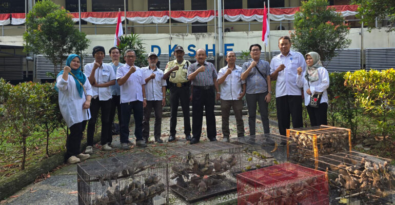Pelepasan burung