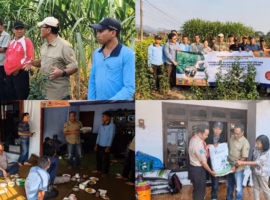 aksi-dosen-ipb-university-di-kasembon-malang-ajak-petani-dan-peternak-budi-daya-katuk
