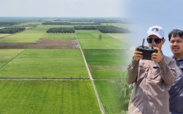 ipb-university-bantu-petani-mesuji-analisis-kondisi-tanaman-dan-optimalisasi-produksi-pertanian-dengan-drone