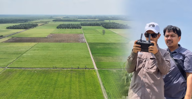 ipb-university-bantu-petani-mesuji-analisis-kondisi-tanaman-dan-optimalisasi-produksi-pertanian-dengan-drone