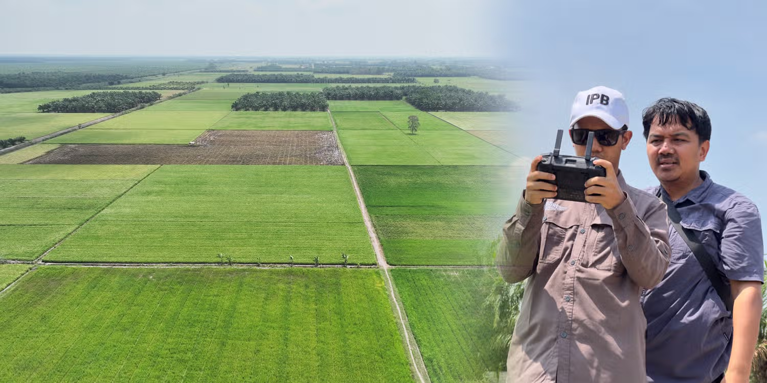 IPB University Bantu Petani Mesuji Analisis Kondisi Tanaman dan Optimalisasi Produksi Pertanian dengan Drone