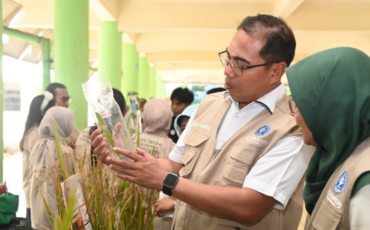 regenerasi-petani-atau-regenerasi-institusi