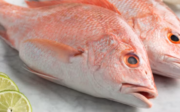 kapan-ikan-kakap-bisa-berbahaya-dikonsumsi-ini-penjelasan-pakar-ipb-university