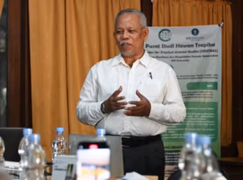 program-sinergi-ipb-university-bangun-model-plasma-inti-kembangkan-bisnis-maggot-
