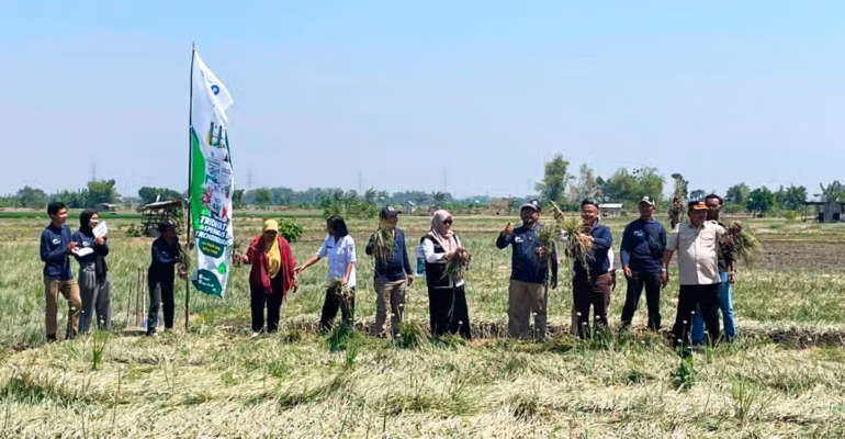 startup-binaan-ipb-planteria-buktikan-trichoderma-tingkatkan-produktivitas-bawang-merah-hingga-40-persen