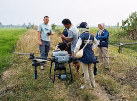 uji-coba-drone-pertanian-hingga-bedah-rantai-nilai-beras-tep-ipb-university-perkuat-agribisnis-padi-papua