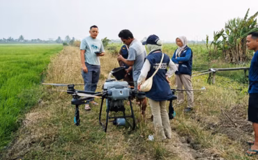 uji-coba-drone-pertanian-hingga-bedah-rantai-nilai-beras-tep-ipb-university-perkuat-agribisnis-padi-papua
