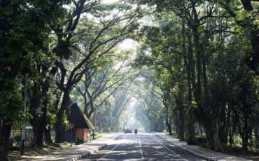 lingkungan-asri-jadi-modal-green-campus-dosen-ipb-university-ungkap-peran-rth-turunkan-suhu-dan-polusi