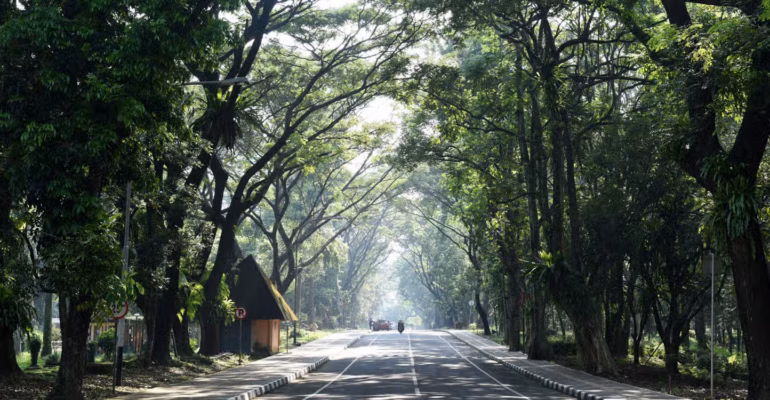 lingkungan-asri-jadi-modal-green-campus-dosen-ipb-university-ungkap-peran-rth-turunkan-suhu-dan-polusi