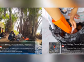 tep-ipb-tingkatkan-produktivitas-hutan-sagu-sulap-limbah-sagu-jadi-media-budi-daya-jamur-di-kampung-tambat