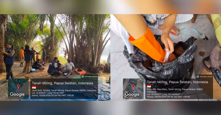 tep-ipb-tingkatkan-produktivitas-hutan-sagu-sulap-limbah-sagu-jadi-media-budi-daya-jamur-di-kampung-tambat